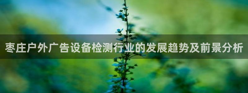 杏宇平台招商：枣庄户外广告设备检测行业的发展趋势及前景分析
