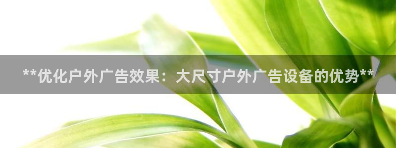 杏宇平台注册地址在哪里：**优化户外广告效果：大尺寸户外广告设备的优势**