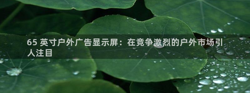 杏宇平台代理怎么样啊：65 英寸户外广告显示屏：在竞争激烈的户外市场引
人注目