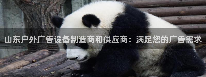 杏宇平台登录步骤