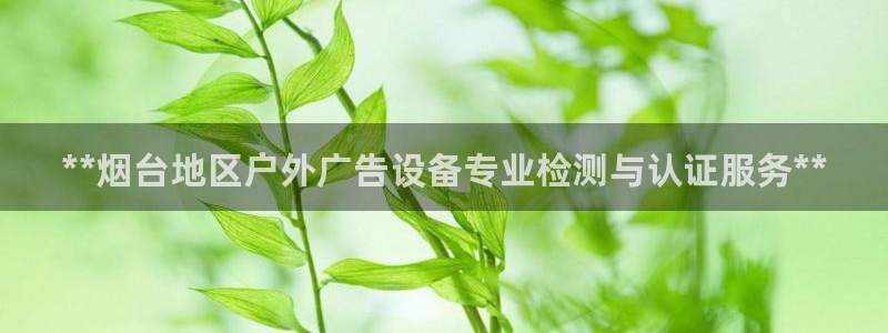 杏宇平台总代理电话：**烟台地区户外广告设备专业检测与认证服务**