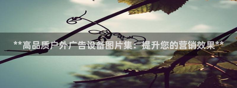 杏宇平台代理怎么赚钱：**高品质户外广告设备图片集：提升您的营销效果**