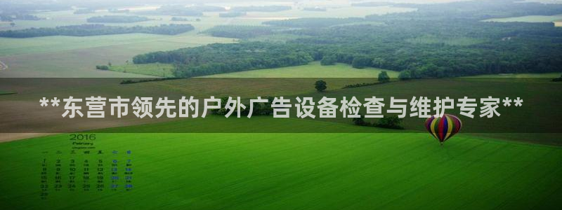 杏宇平台提现为什么这么久呢：**东营市领先的户外广告设备检查与维护专家**