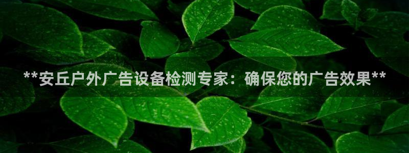 杏宇官方平台官网下载：**安丘户外广告设备检测专家：确保您的广告效果**