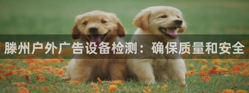 杏宇平台总代理是谁：滕州户外广告设备检测：确保质量和安全
