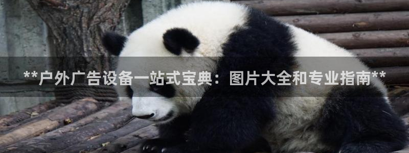 杏宇官方平台官网：**户外广告设备一站式宝典：图片大全和专业指南**