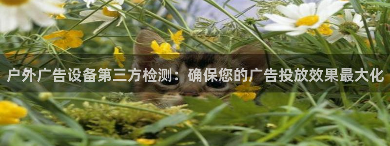杏宇平台注册地址：户外广告设备第三方检测：确保您的广告投放效果最大化