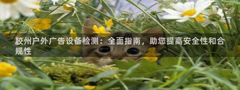 杏宇平台代理多少钱一个：胶州户外广告设备检测：全面指南，助您提高安全性和合
规性