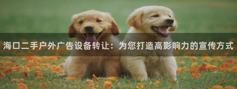 杏宇平台怎么样：海口二手户外广告设备转让：为您打造高影响力的宣传方式