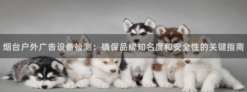 杏宇平台注册地址在哪里：烟台户外广告设备检测：确保品牌知名度和安全性的关键指南