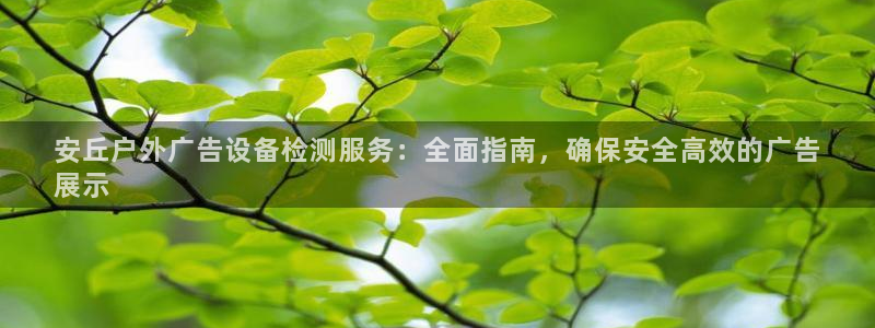 杏宇平台测速链接：安丘户外广告设备检测服务：全面指南，确保安全高效的广告
展示