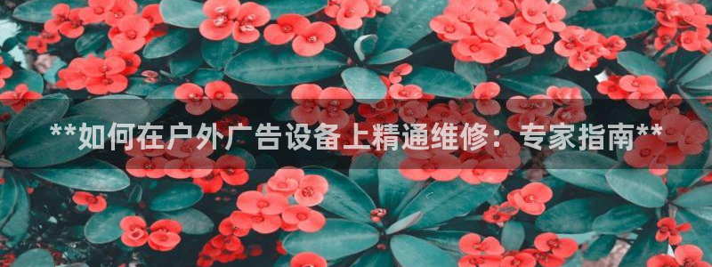 杏宇平台招商怎么样：**如何在户外广告设备上精通维修：专家指南**
