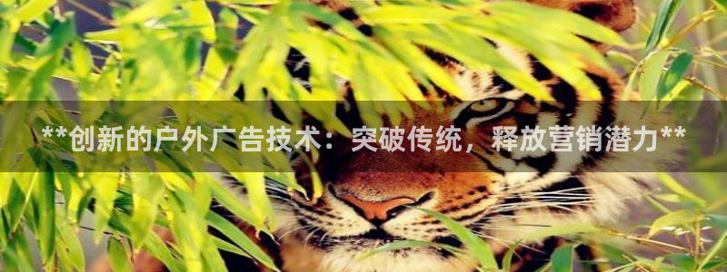 杏宇平台代理怎么样啊：**创新的户外广告技术：突破传统，释放营销潜力**