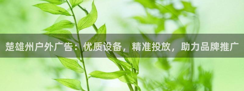 杏宇平台登录步骤图：楚雄州户外广告：优质设备，精准投放，助力品牌推广