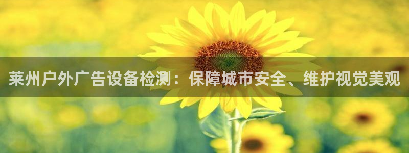 杏宇平台是什么：莱州户外广告设备检测：保障城市安全、维护视觉美观