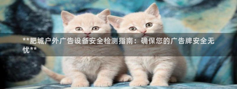 杏宇平台代理：**肥城户外广告设备安全检测指南：确保您的广告牌安全无
忧**