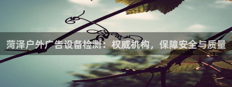 杏宇平台注册登录：菏泽户外广告设备检测：权威机构，保障安全与质量