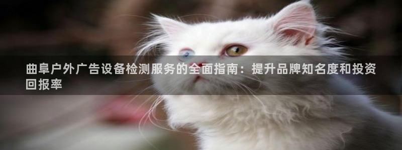 杏宇平台主管：曲阜户外广告设备检测服务的全面指南：提升品牌知名度和投资
回报率