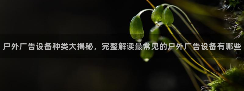 杏宇平台代理：户外广告设备种类大揭秘，完整解读最常见的户外广告设备有哪些