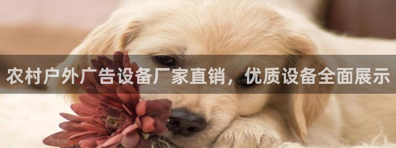 杏宇平台好吗：农村户外广告设备厂家直销，优质设备全面展示