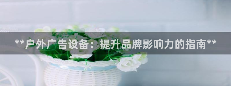 杏宇平台客服：**户外广告设备：提升品牌影响力的指南**