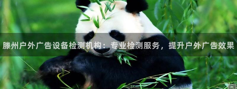 杏宇平台登录步骤图：滕州户外广告设备检测机构：专业检测服务，提升户外广告效果