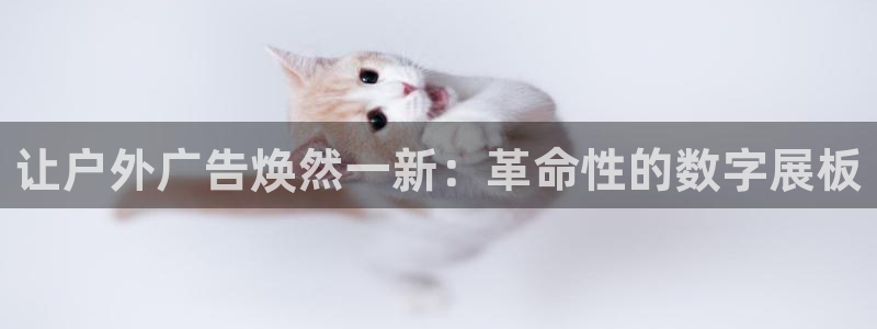 杏宇官方平台官网：让户外广告焕然一新：革命性的数字展板