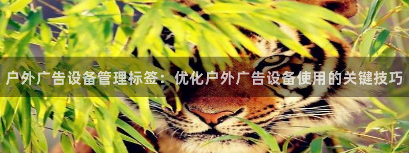 杏宇代理注册：户外广告设备管理标签：优化户外广告设备使用的关键技巧