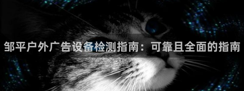 杏宇平台是什么：邹平户外广告设备检测指南：可靠且全面的指南