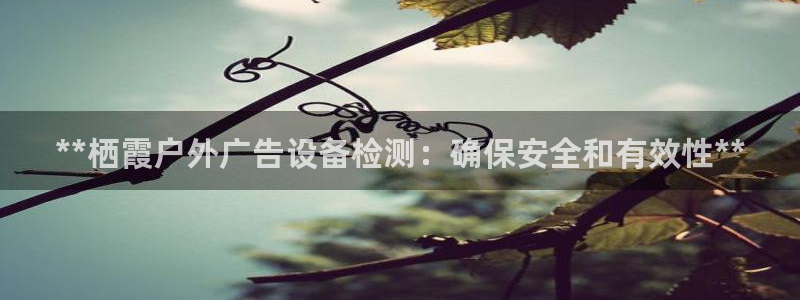杏宇平台怎么样赚钱：**栖霞户外广告设备检测：确保安全和有效性**