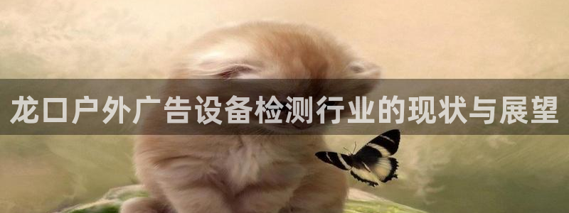 杏宇平台开户：龙口户外广告设备检测行业的现状与展望