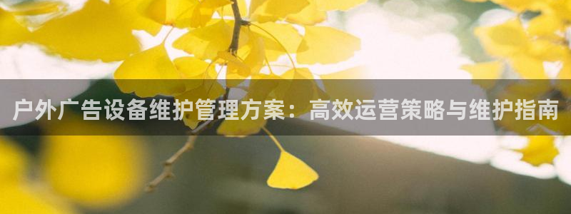 杏宇平台招商：户外广告设备维护管理方案：高效运营策略与维护指南