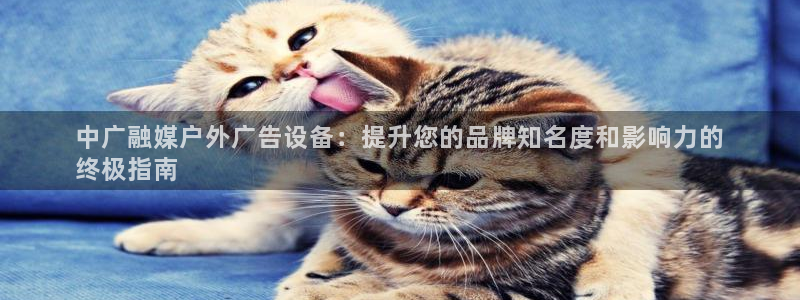 杏宇官方平台官网下载：中广融媒户外广告设备：提升您的品牌知名度和影响力的
终极指南