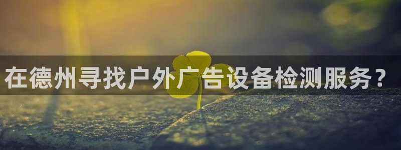 杏宇平台登录方法：在德州寻找户外广告设备检测服务？