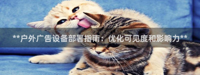 杏宇平台是什么：**户外广告设备部署指南：优化可见度和影响力**