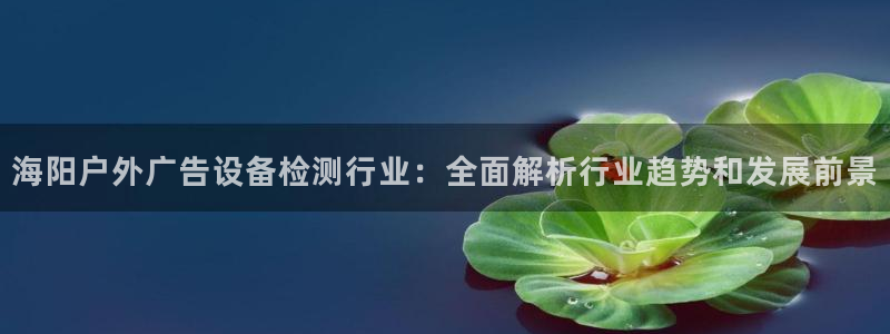 杏宇平台注册登录：海阳户外广告设备检测行业：全面解析行业趋势和发展前景