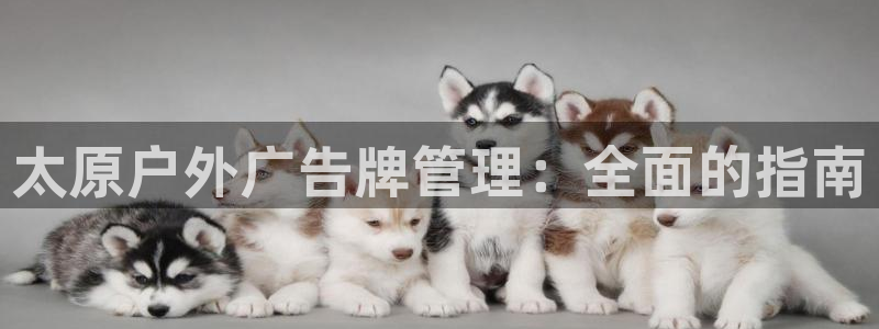杏宇平台注册地址在哪里：太原户外广告牌管理：全面的指南