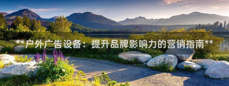 杏宇官方平台官网下载：**户外广告设备：提升品牌影响力的营销指南**