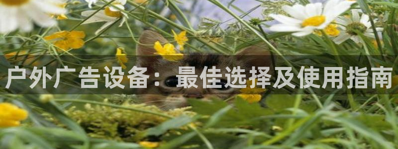 杏宇平台注册地址在哪里：户外广告设备：最佳选择及使用指南
