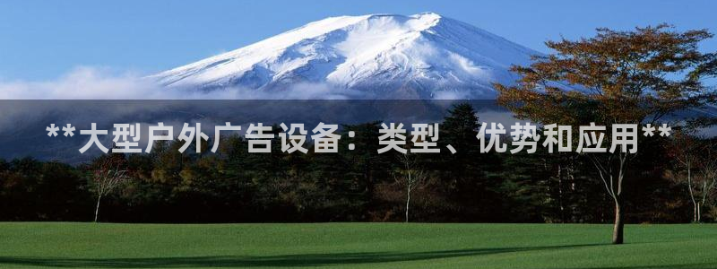 杏宇平台代理怎么样赚钱：**大型户外广告设备：类型、优势和应用**
