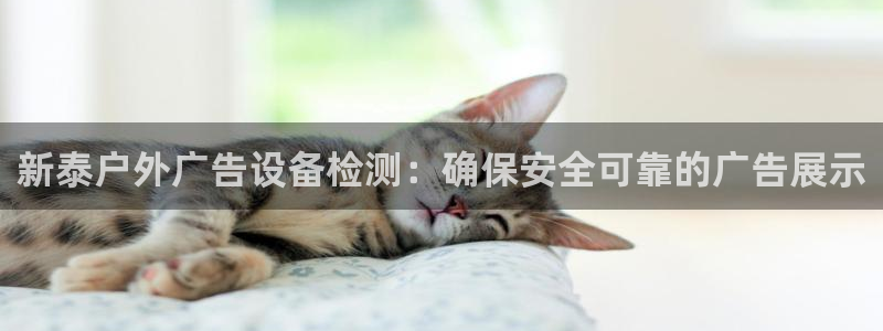 杏宇代理注册：新泰户外广告设备检测：确保安全可靠的广告展示
