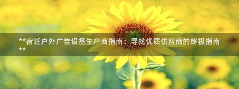 杏宇平台注册地址：**宿迁户外广告设备生产商指南：寻找优质供应商的终极指南
**