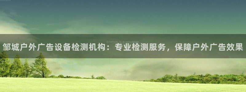 杏宇官方平台官网下载：邹城户外广告设备检测机构：专业检测服务，保障户外广告效果