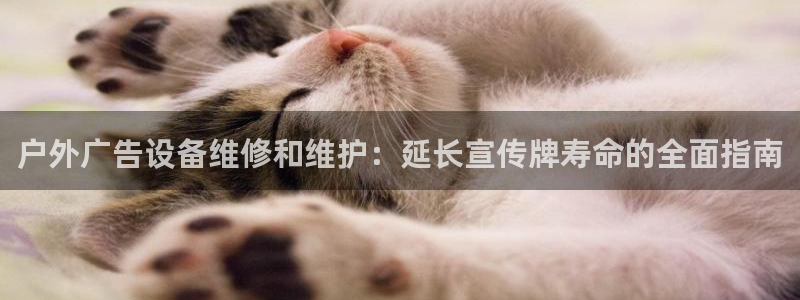 杏宇官方平台官网：户外广告设备维修和维护：延长宣传牌寿命的全面指南