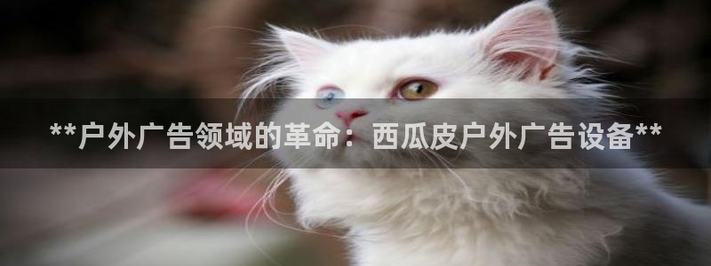 杏宇平台测速链接：**户外广告领域的革命：西瓜皮户外广告设备**