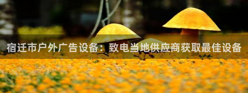 杏宇平台代理怎么样可靠吗：宿迁市户外广告设备：致电当地供应商获取最佳设备