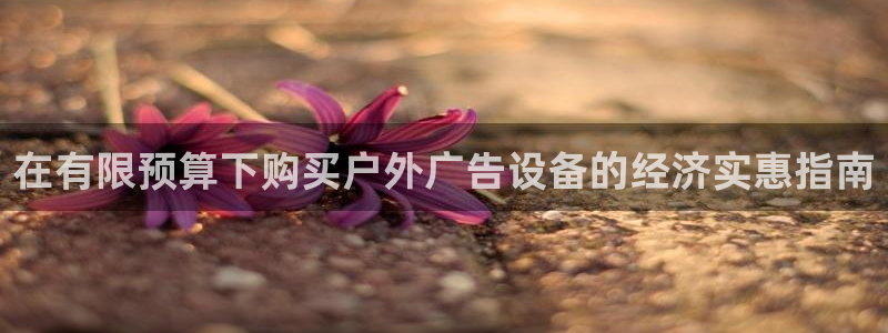 杏宇平台代理多少钱一次：在有限预算下购买户外广告设备的经济实惠指南