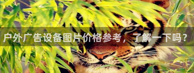 杏宇平台测速链接：户外广告设备图片价格参考，了解一下吗？