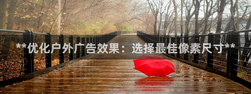 杏宇平台注册登录：**优化户外广告效果：选择最佳像素尺寸**