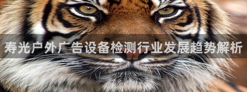 杏宇平台注册地址：寿光户外广告设备检测行